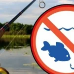Про заборону вилову риби в період нересту