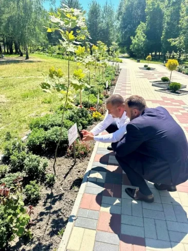 Дружба крізь випробування 19